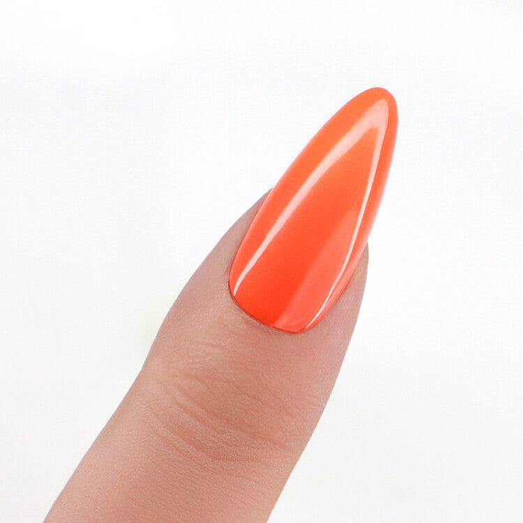 LeChat Perfect Match 3in1 Powders West Sunrise - #PROP028 LeChat