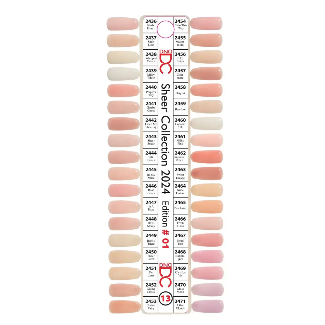 DND-DC Single Sheer Collection 36pcs DND