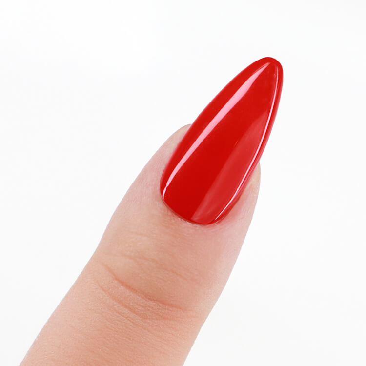 LeChat Perfect Match 3in1 Powders Pro Citrus Punch PROP021 LeChat