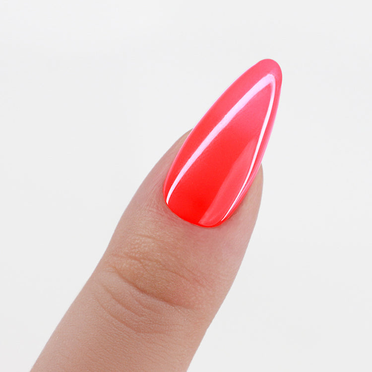 LeChat Perfect Match 3in1 Powders Pro Great Vibes - #PROP043 LeChat