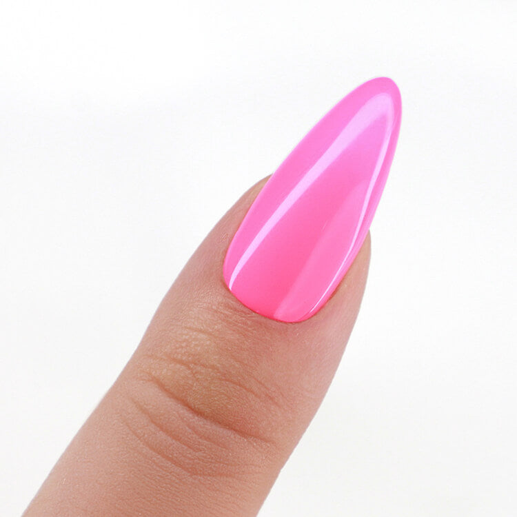 LeChat Perfect Match 3in1 Powders Sold Out Show - #PROP053 LeChat