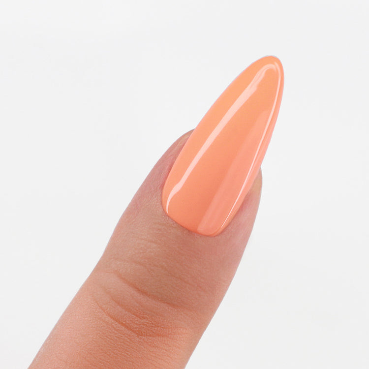 LeChat Perfect Match 3in1 Powders Pro Apricot Splash - #PROP062 LeChat