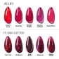 Apres Enigmatic 10 Gel Couleur Set Apres