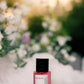 BLUSHWOOD |  Limited Release UniScents