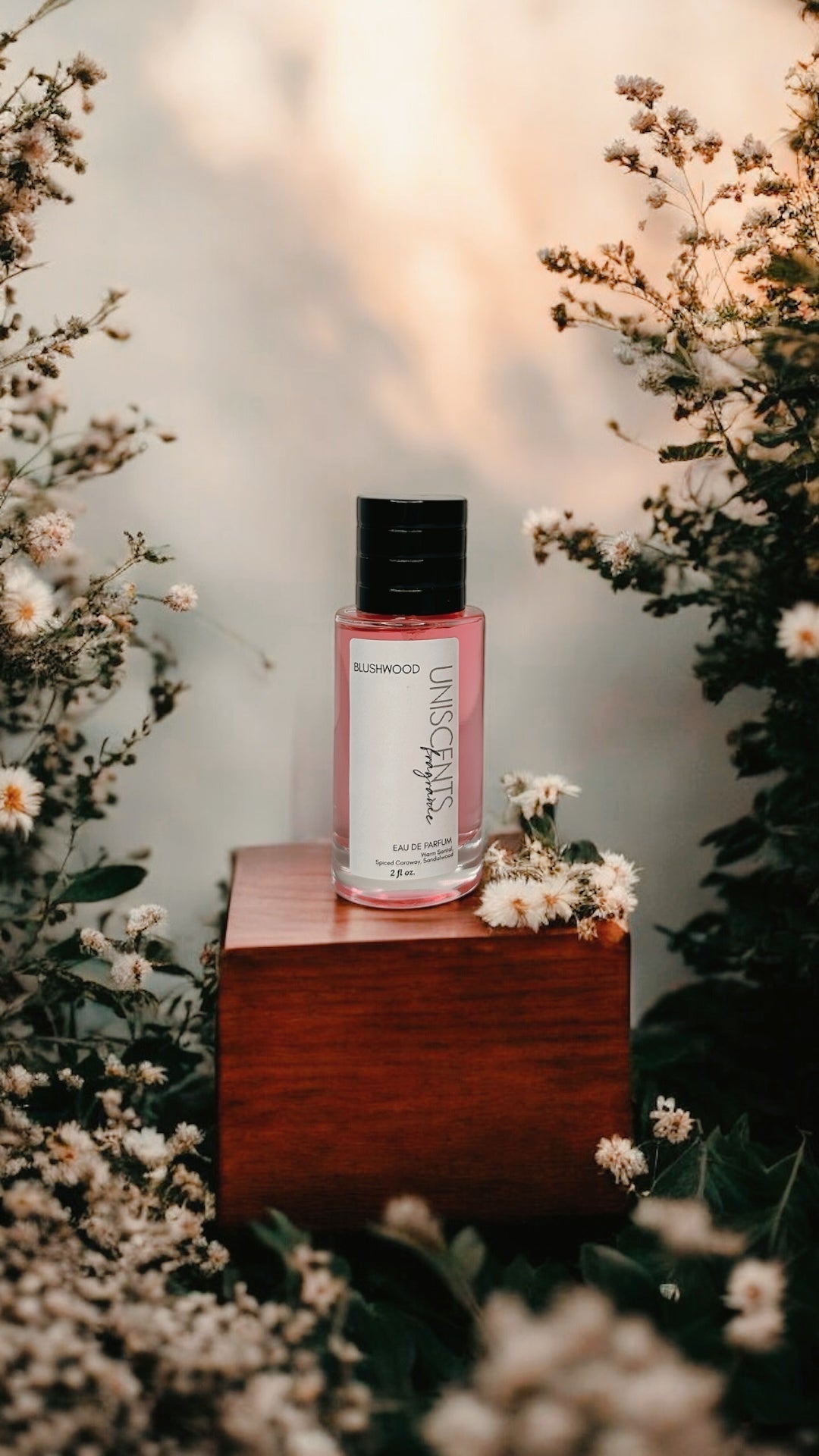 BLUSHWOOD |  Limited Release UniScents