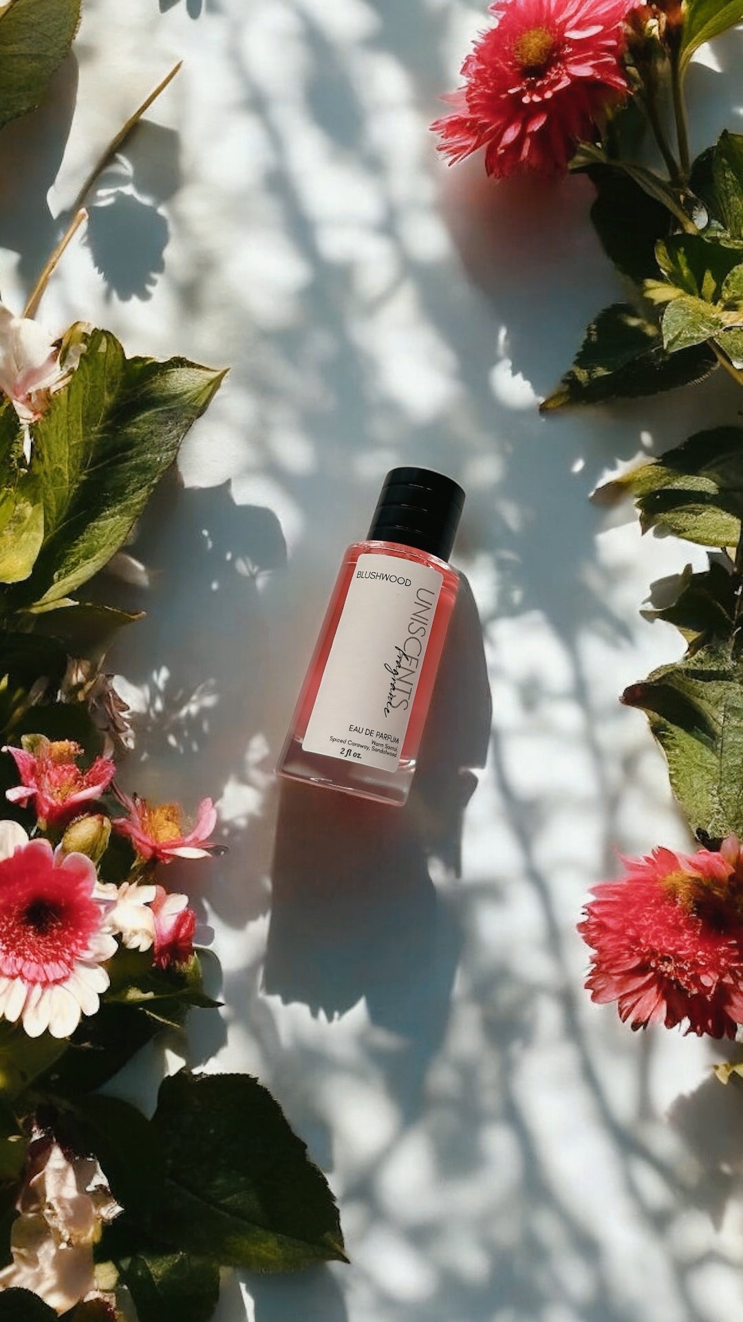 BLUSHWOOD |  Limited Release UniScents