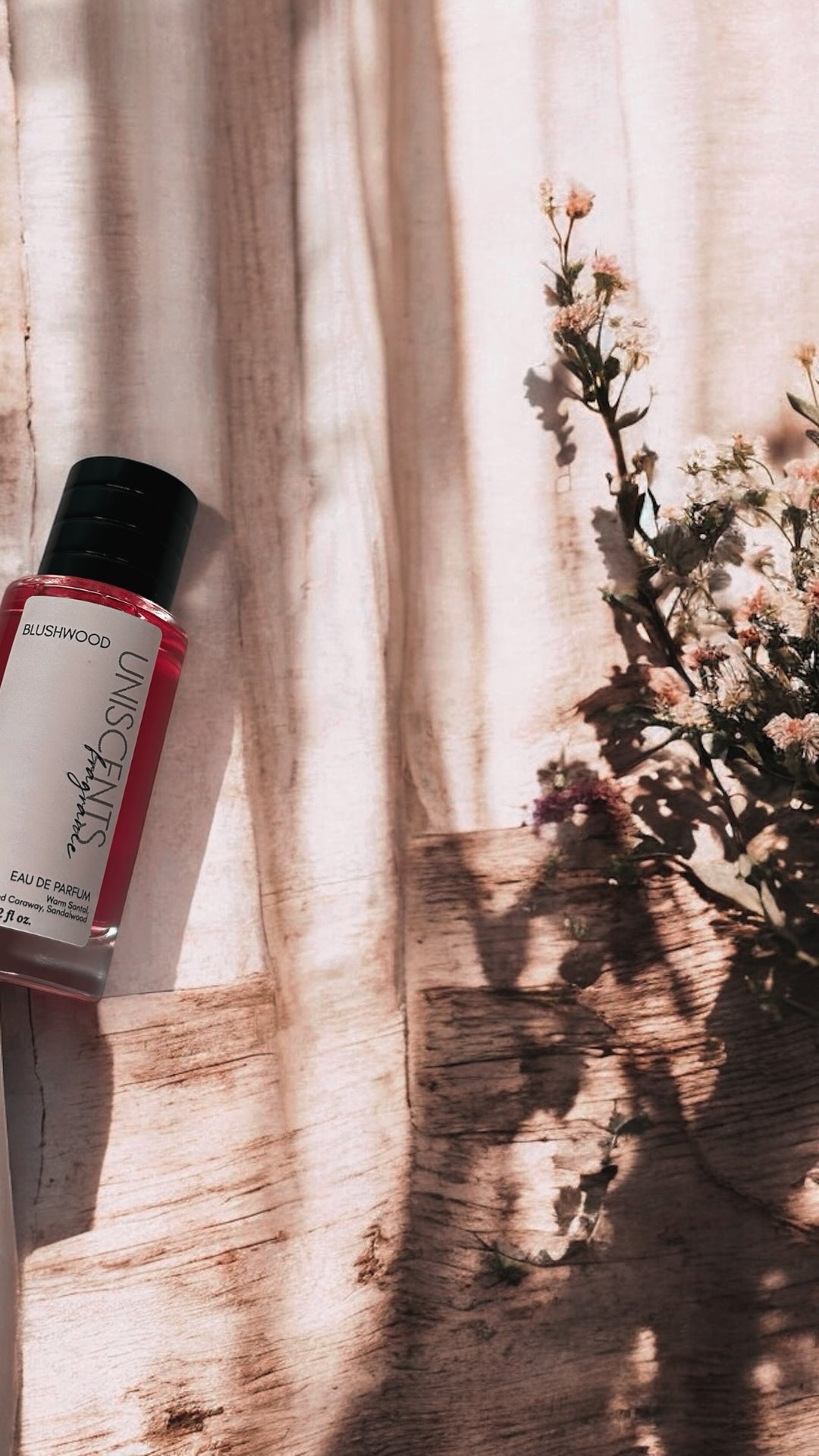 BLUSHWOOD |  Limited Release UniScents