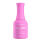 Kiara sky Gel Pro Hema - All The Hype Kiara Sky