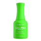 Kiara sky Gel Pro Hema - Don't Lettuce Down Kiara Sky