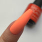 Orange Poppy Madam Glam