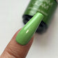 Rainforest Madam Glam