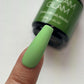 Rainforest Madam Glam