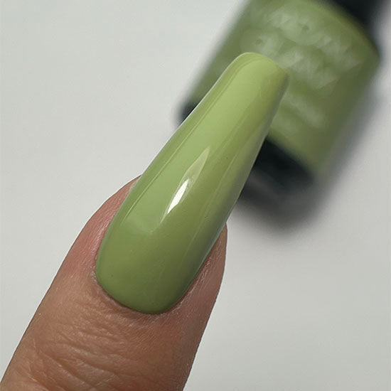 Green Guru Madam Glam